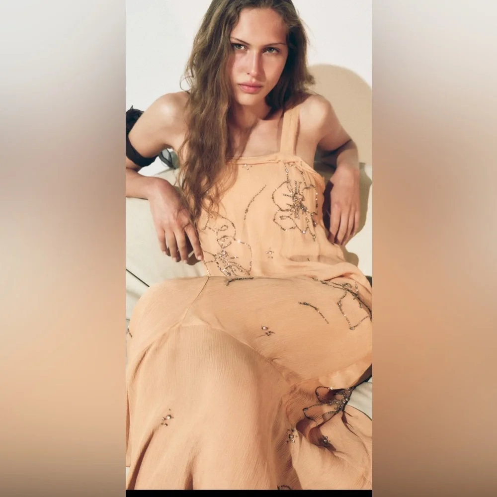 Zara ZW collection embroidered beaded dress - Picture 7 of 15